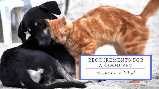 Requirements for a Good Health Practitioner 