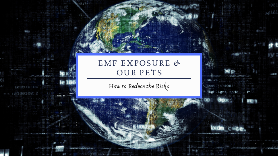 Pets and EMF Awareness